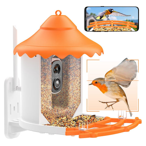 Wireless Bird Feeder with Camera, 1080p Outdoor Watching Camera, Solar Powered, AI Identify Bird Species, Auto Record Bird Video, Instant Notifications
